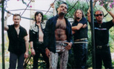bandshot4